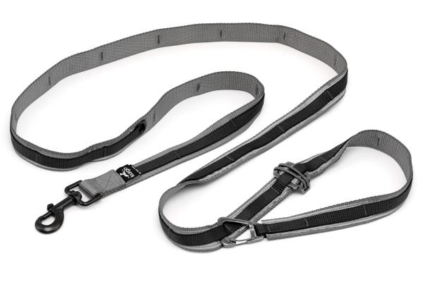 Kurgo Reflect & Protect Quantum Leash Black